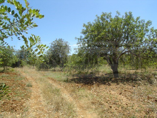 Land in Olhos de Agua, Algarve, Portugal 4 - 12275369