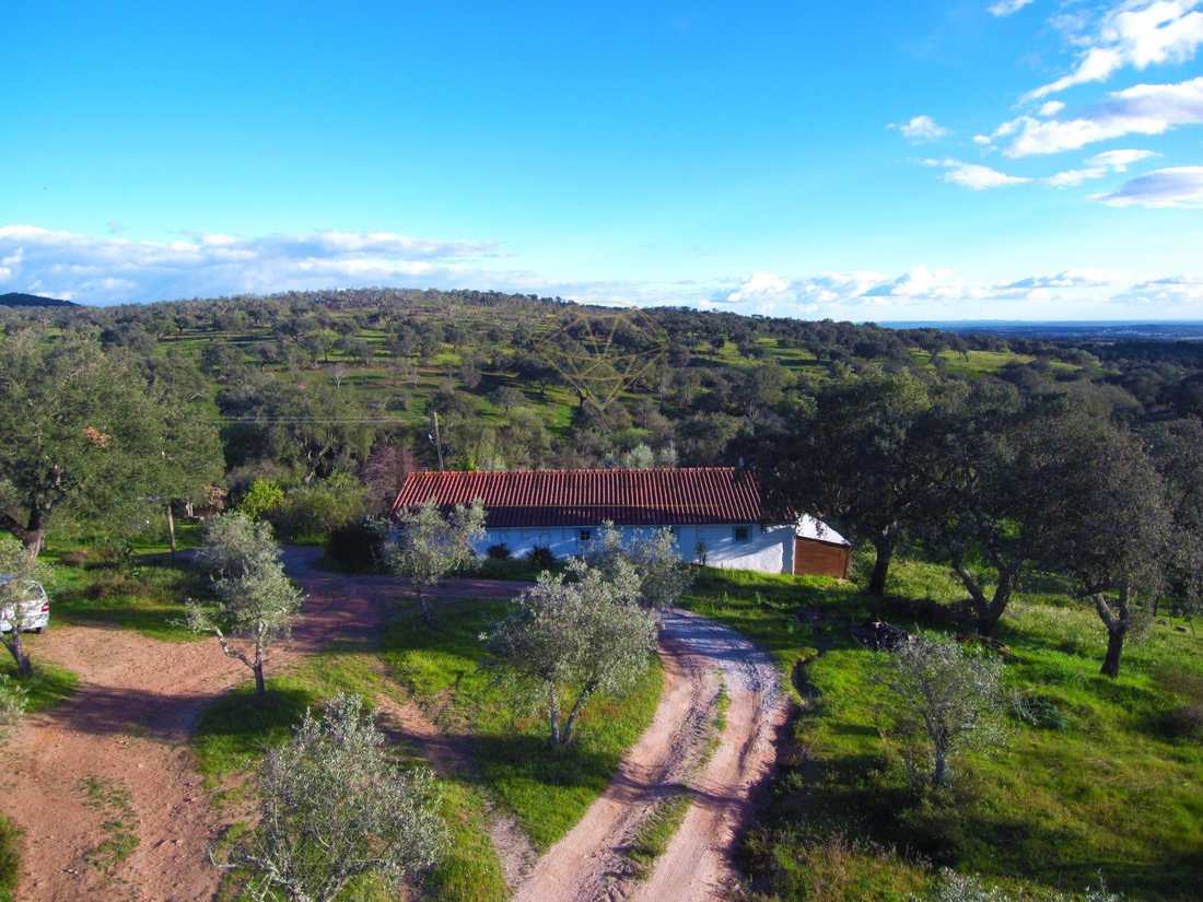 Estate in Mosteiros, Portalegre District, Portugal 3 - 13045930