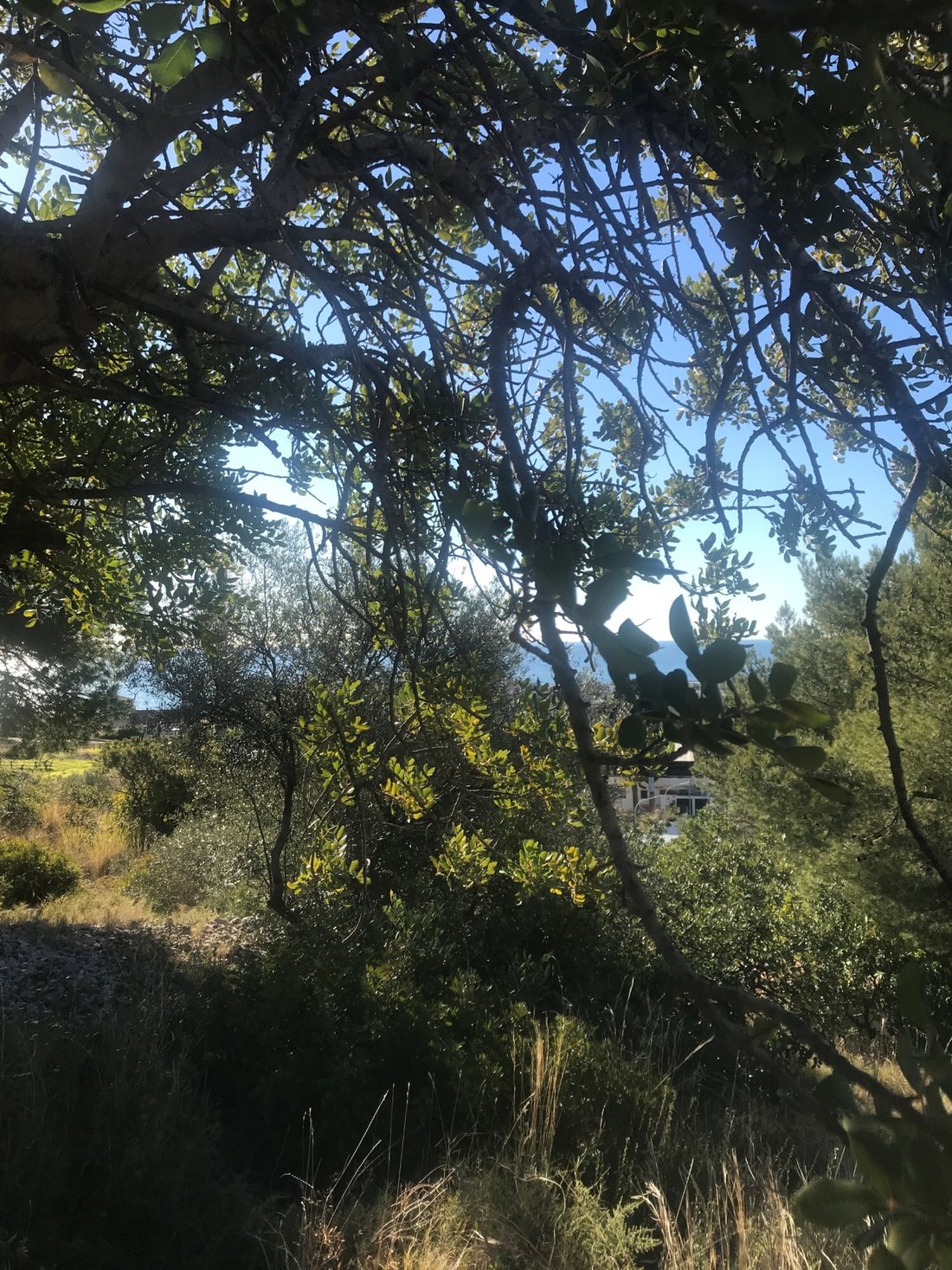 Land in Sitges, Catalonia, Spain 4 - 16484299
