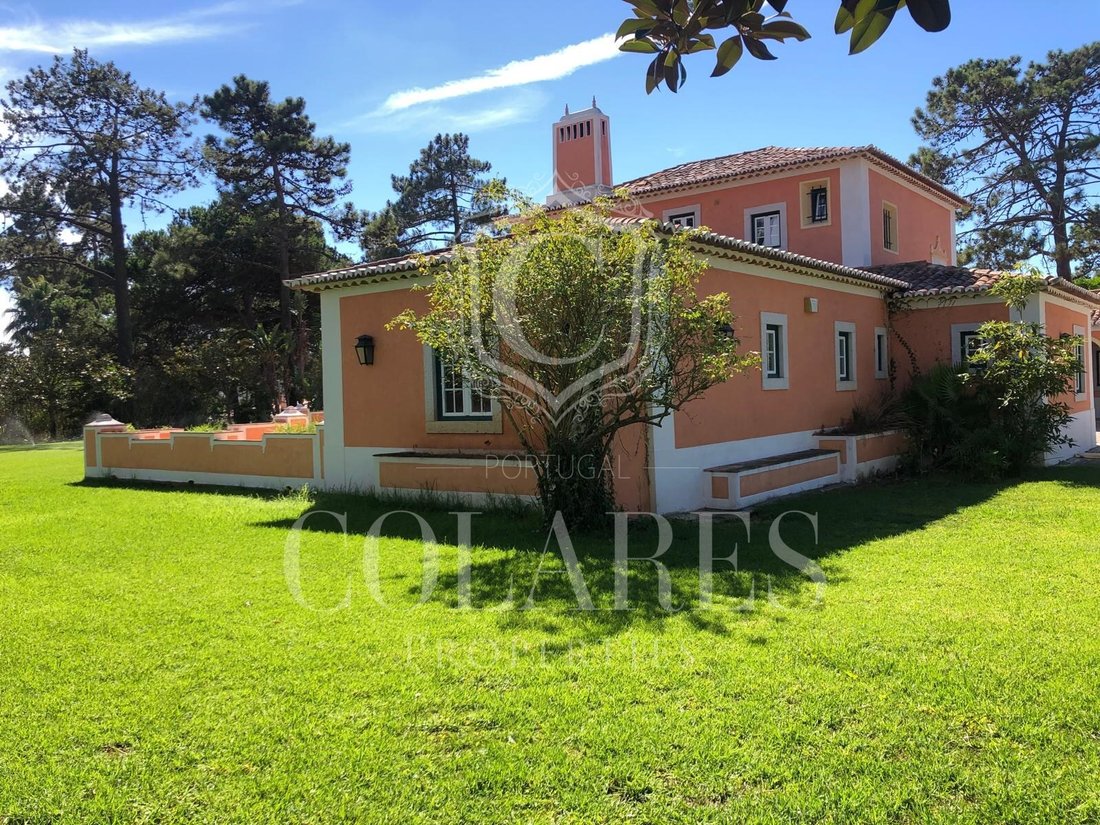 House in Colares, Lisbon, Portugal 1 - 14985559
