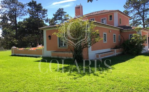 House in Colares, Lisbon, Portugal 1
