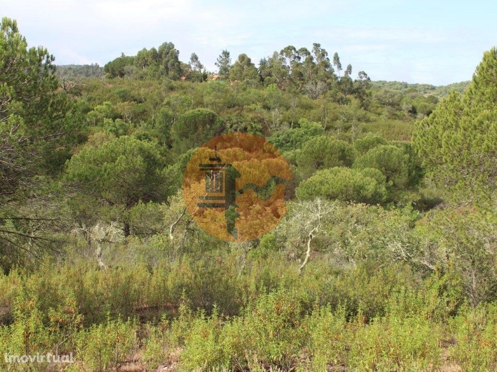 Estate in Sao Bartolomeu de Messines, Algarve, Portugal 2 - 11743859