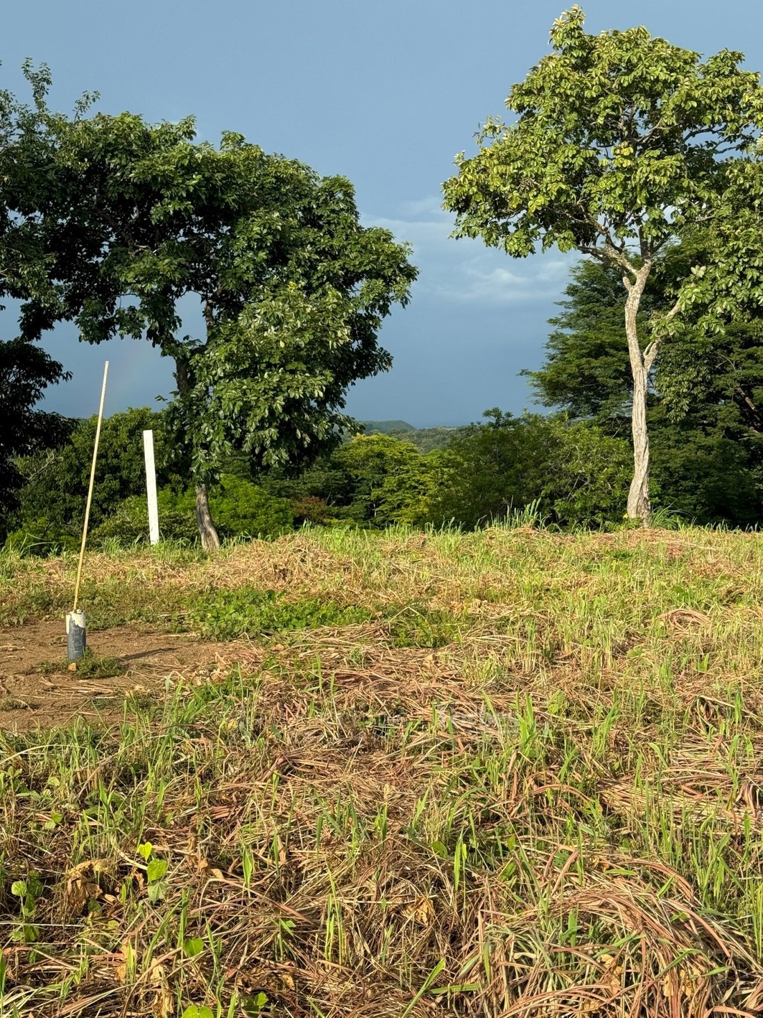 Land in Sardinal District, Guanacaste Province, Costa Rica 5 - 16648732