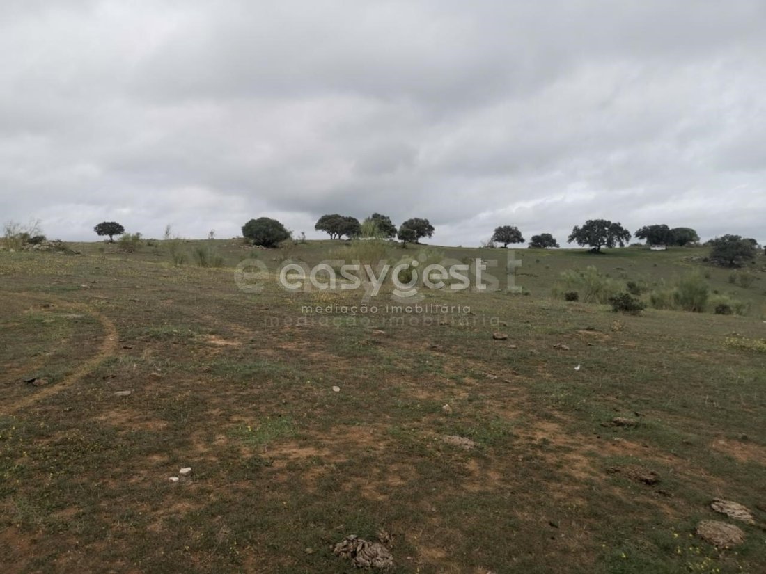 Land in Amieira e Alqueva, Évora District, Portugal 5 - 15728650