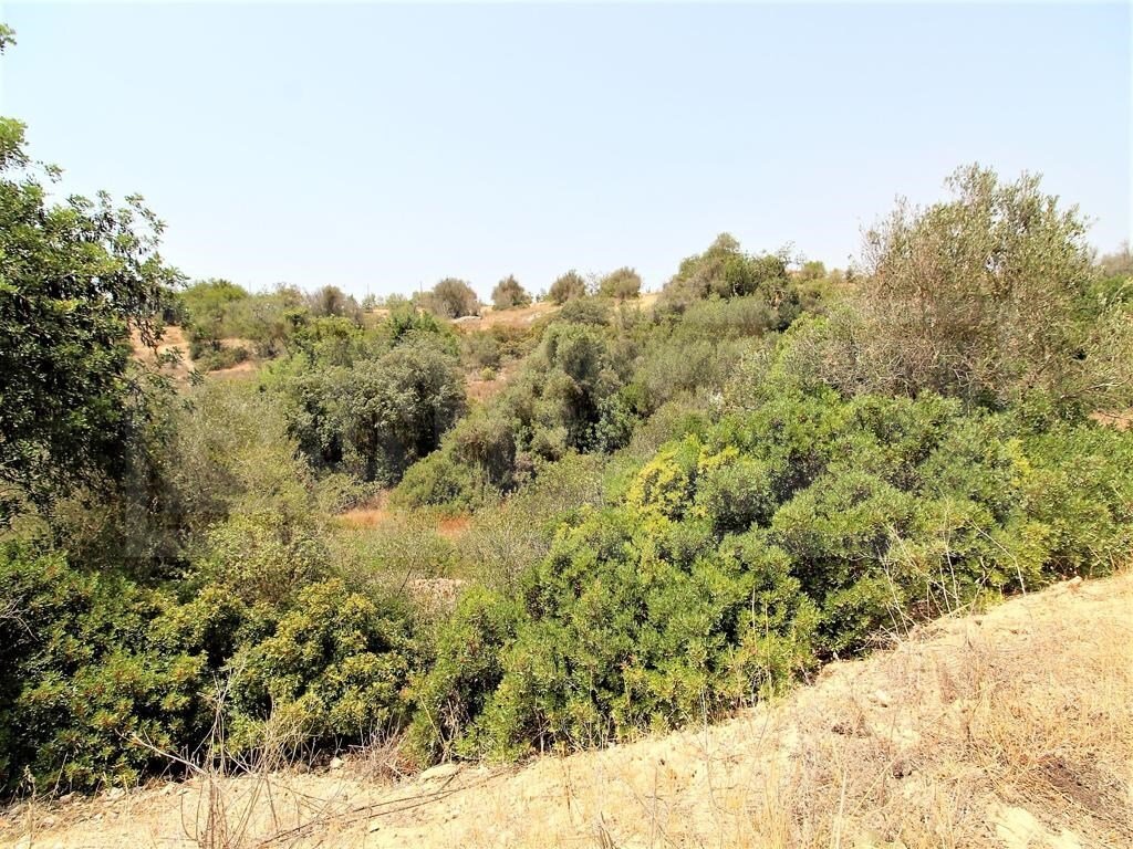 Country House in Alcantarilha, Algarve, Portugal 4 - 12146815