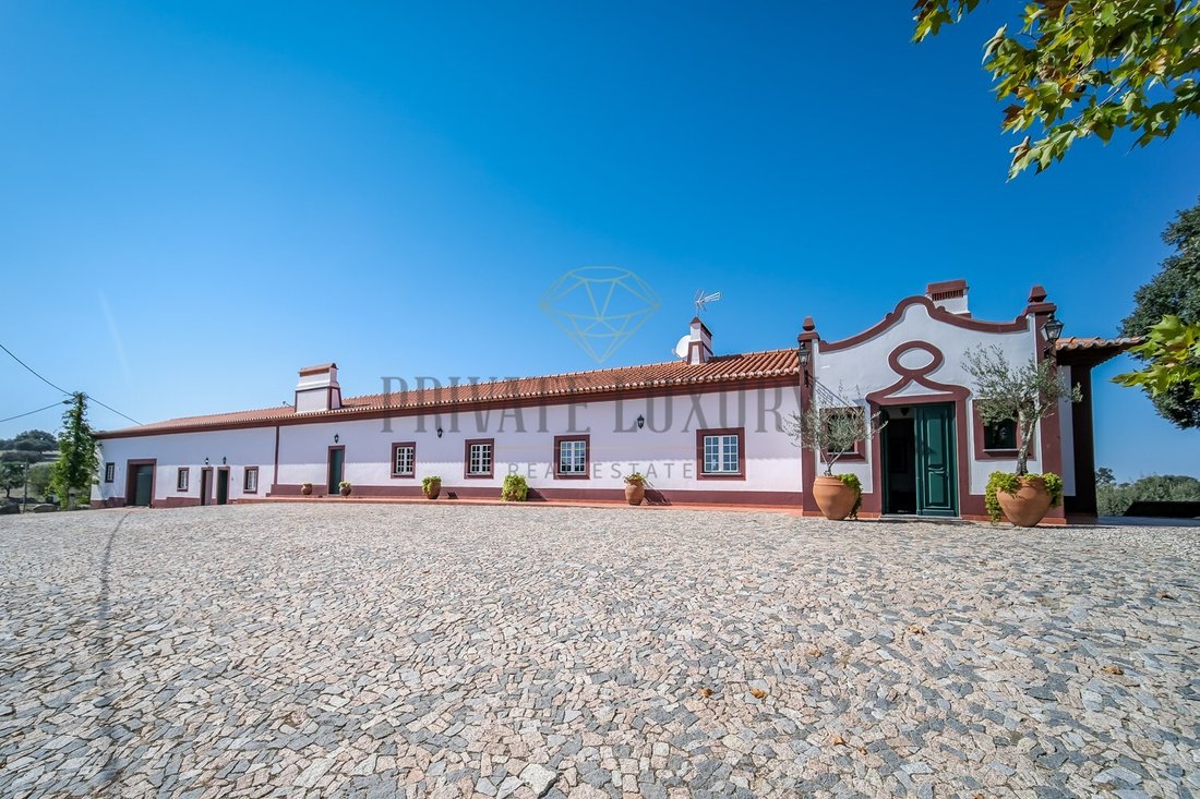 Estate in Avis, Portalegre District, Portugal 5 - 13385024