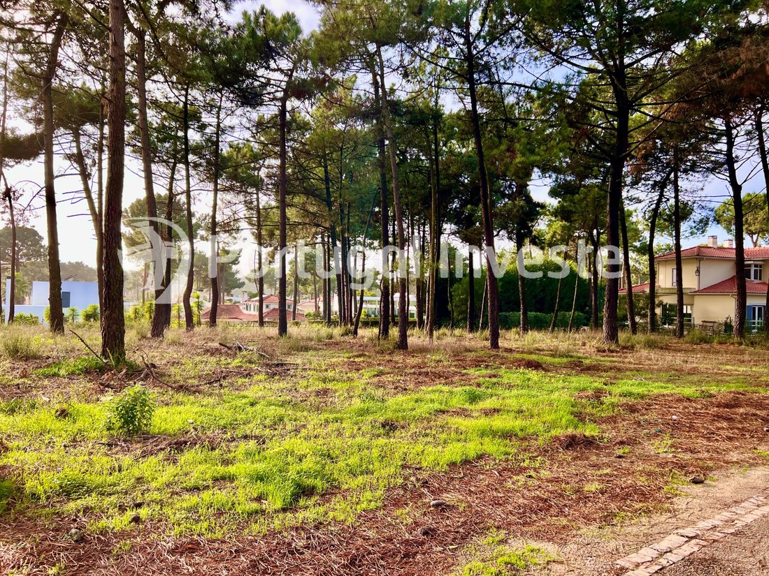 Land in Herdade Da Aroeira, Charneca de Caparica e Sobreda, Setubal 4 - 16533729