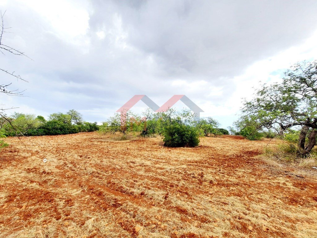 Land in Loule (Sao Clemente), Algarve, Portugal 4 - 15298598