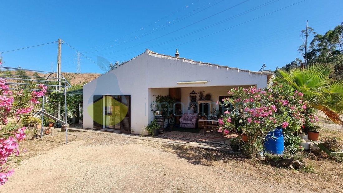 Estate in Silves, Algarve, Portugal 5 - 16493094
