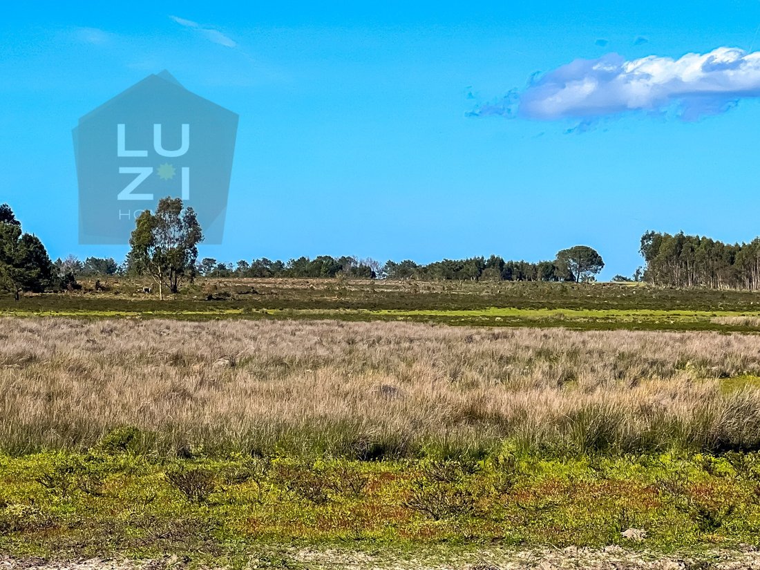 Land in Vila do Bispo e Raposeira, Algarve, Portugal 5 - 13461686