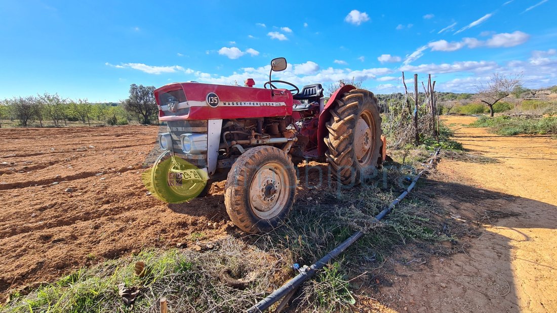 Land in Guia, Algarve, Portugal 3 - 16484816