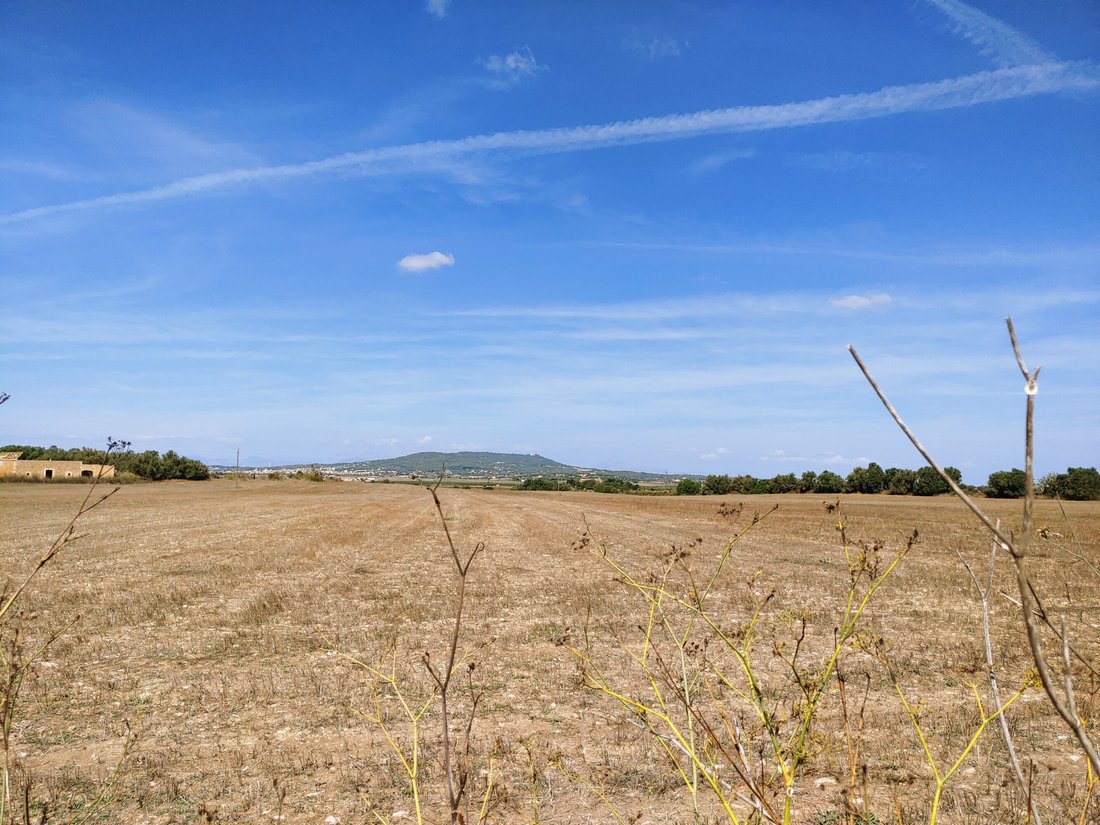 Land in Manacor, Balearic Islands, Spain 1 - 16392543