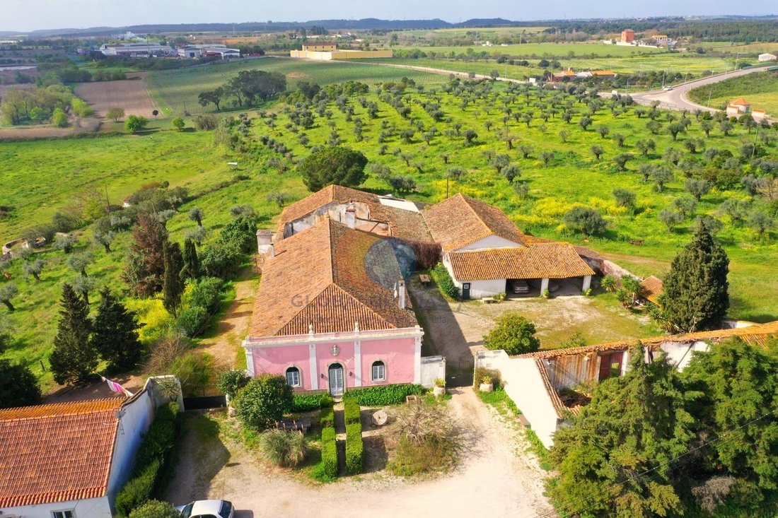 Finca in Riachos, Santarem District, Portugal 1 - 15626752