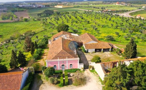 Finca in Riachos, Distrikt Santarém, Portugal 1