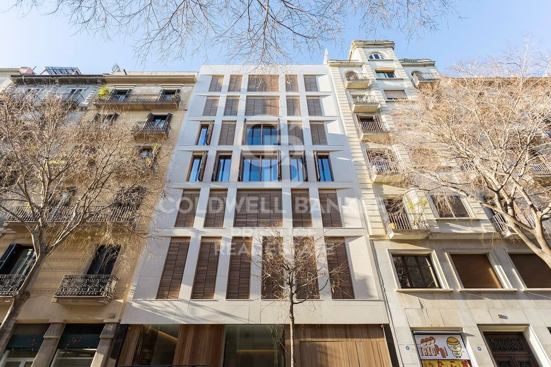 Apartment in Eixample, Barcelona, Spain 3 - 16569784