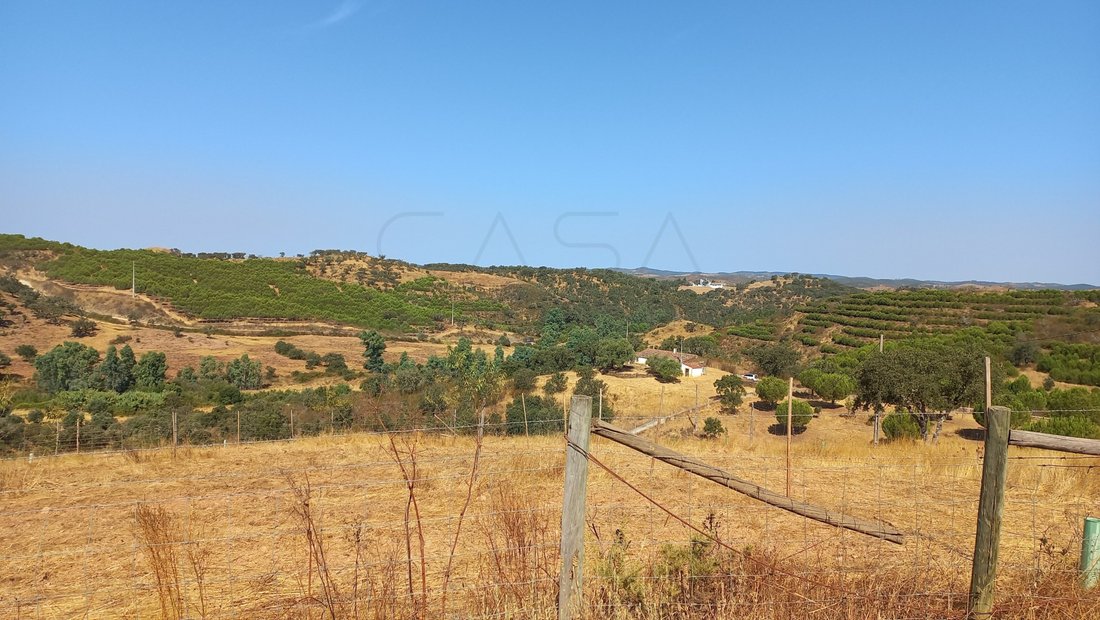 Finca in Ourique, Beja District, Portugal 1 - 16195874