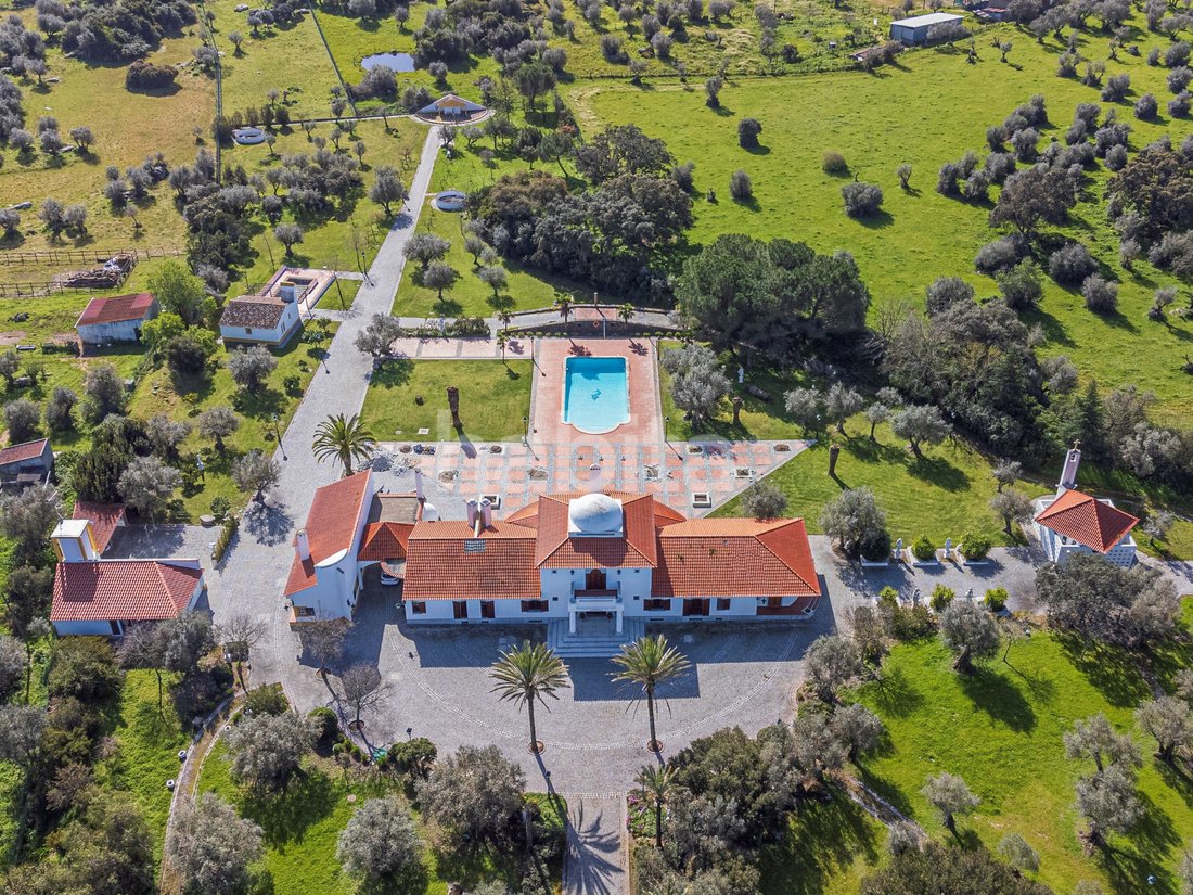 Finca in Bacelo e Senhora da Saude, Évora District, Portugal 2 - 15263624