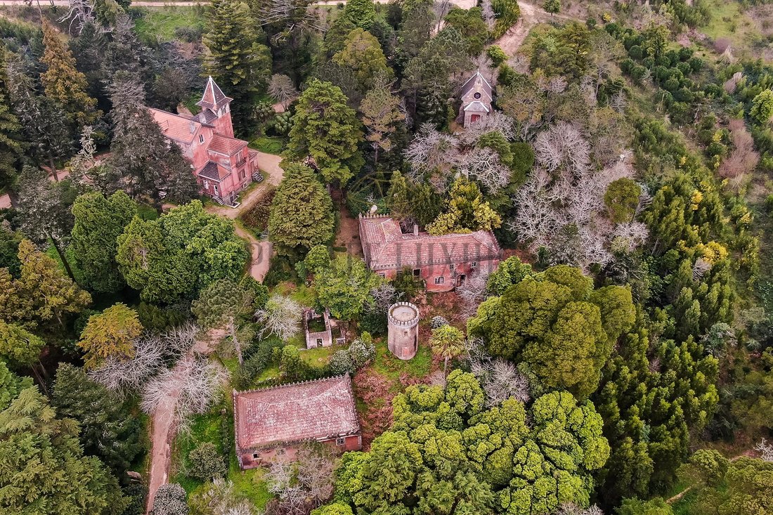 Finca in Sintra, Lisbon, Portugal 2 - 15251629