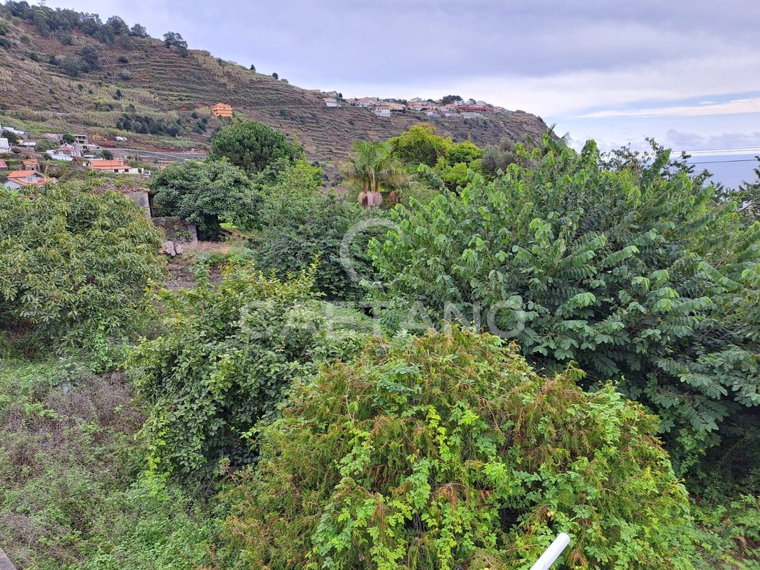 Land in Arco da Calheta, Madeira, Portugal 4 - 16659234