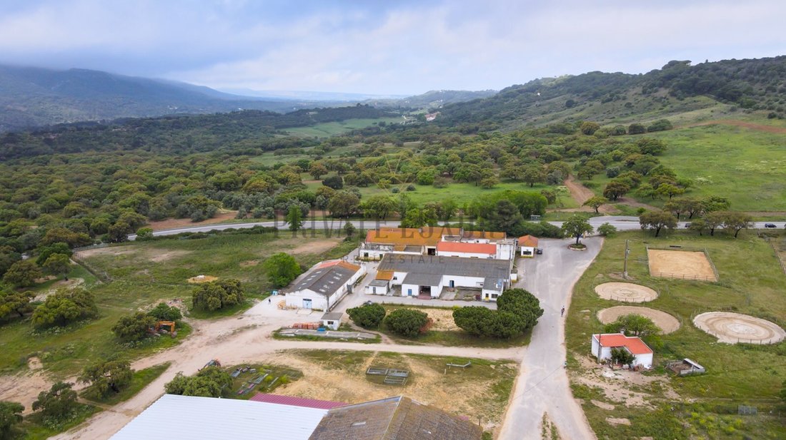 Finca in Azeitao (Sao Lourenco e Sao Simao), Setubal, Portugal 2 - 12489699
