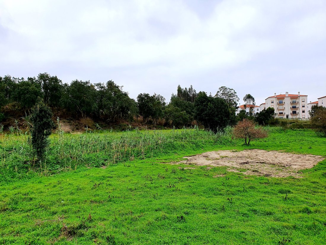 Land in Nossa Senhora do Populo, Coto e Sao Gregorio, Leiria District, Portugal 1 - 12274832