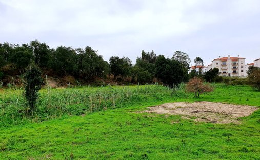 Land in Nossa Senhora do Populo, Coto e Sao Gregorio, Leiria District, Portugal 1