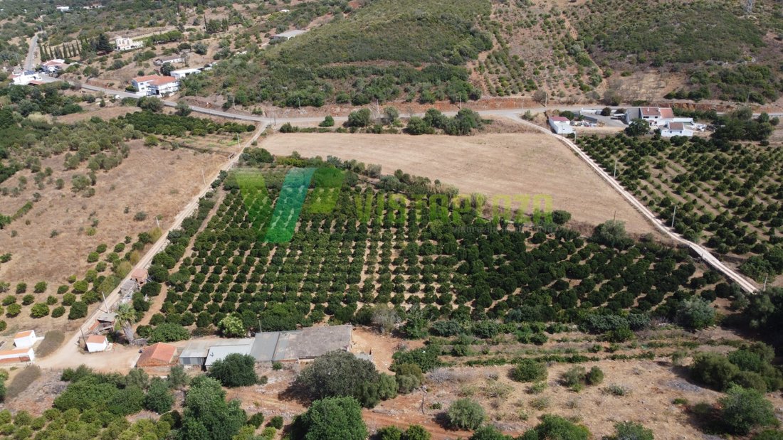 Land in Mexilhoeira Grande, Algarve, Portugal 2 - 16195873