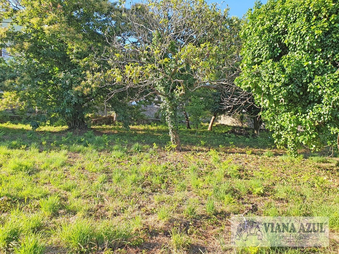 Land in Areosa, Viana do Castelo District, Portugal 3 - 12781769