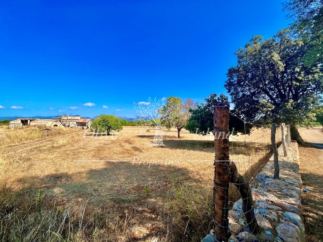 Land in Inca, Balearic Islands, Spain 3 - 16329406
