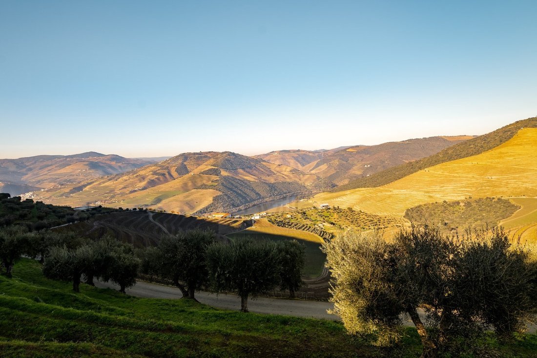 Finca in Ervedosa do Douro, Viseu District, Portugal 1 - 15092239