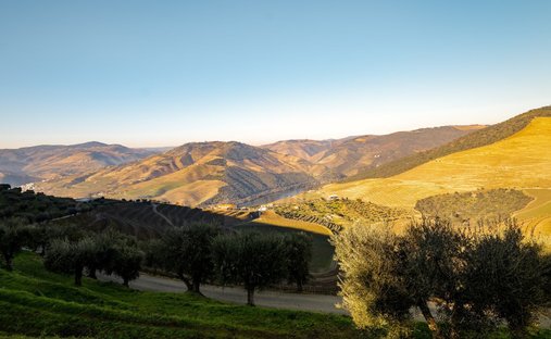 Finca a Ervedosa do Douro, Distretto di Viseu, Portogallo 1