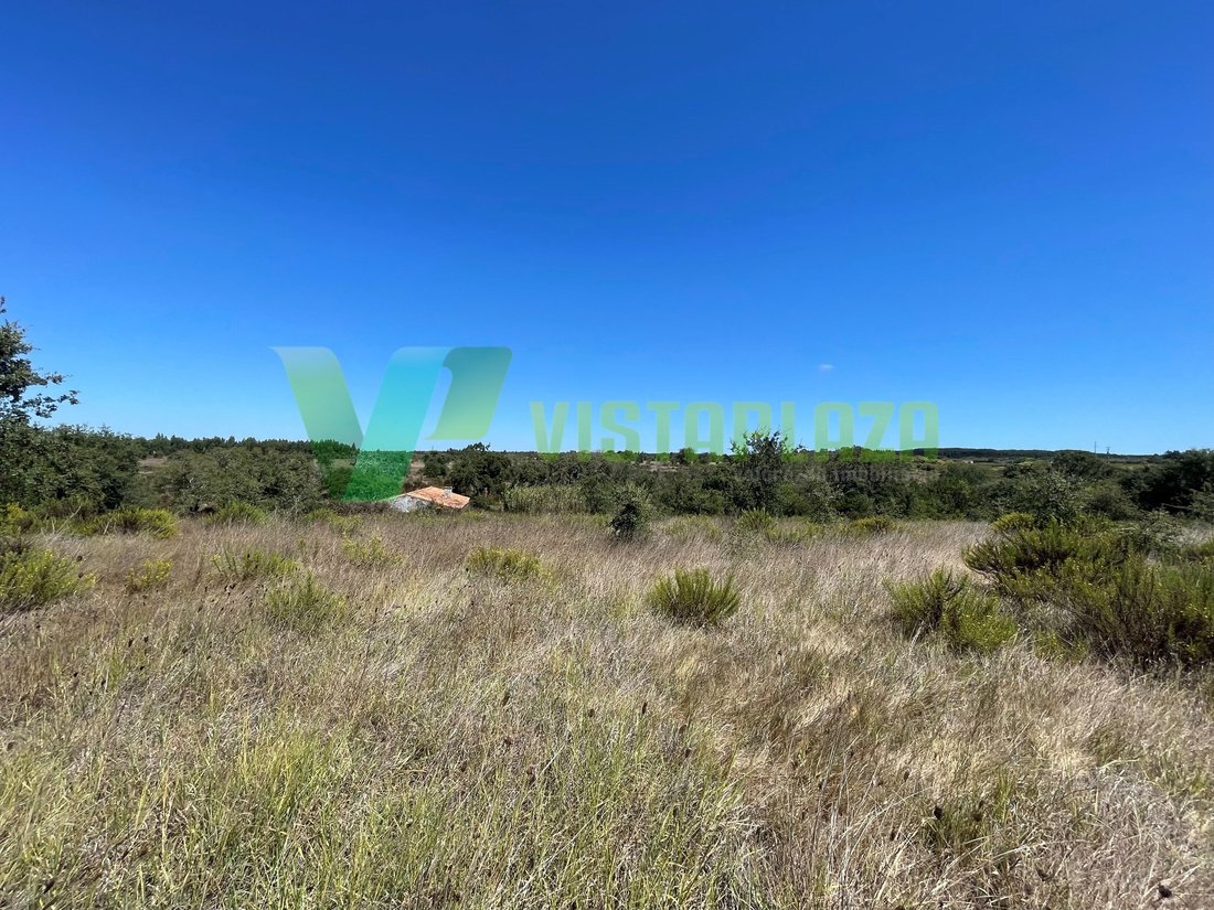 Land in S.Teotónio, Beja District, Portugal 3 - 12274769