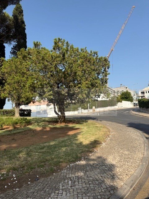 Land in Cascais e Estoril, Lisbon, Portugal 1 - 16017429