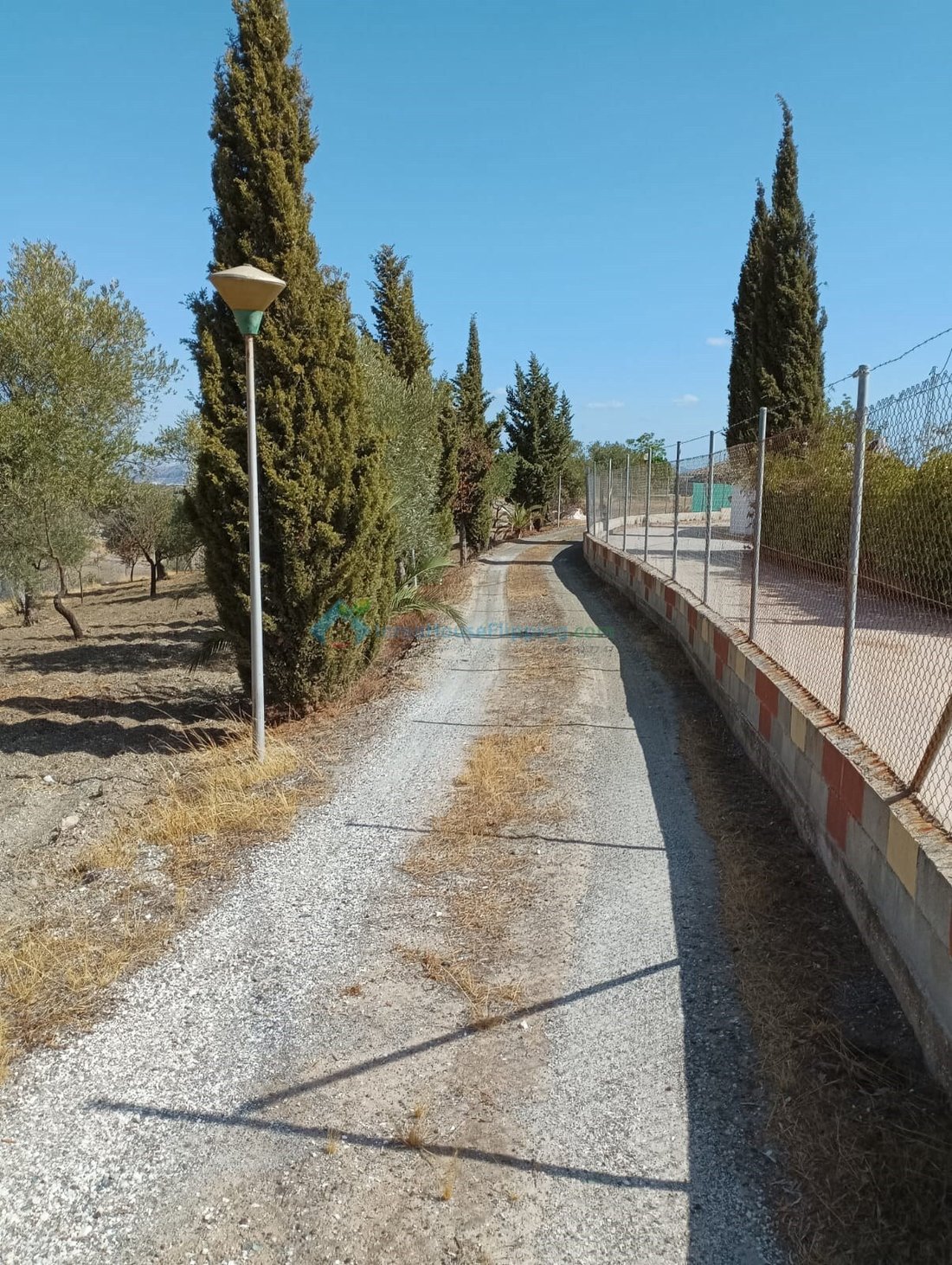Country House in Coin, Andalusia, Spain 5 - 16543292