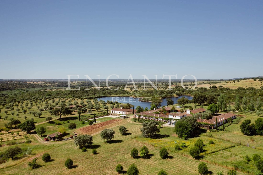Finca in Escalos de Baixo e Mata, Castelo Branco District, Portugal 1 - 16699356