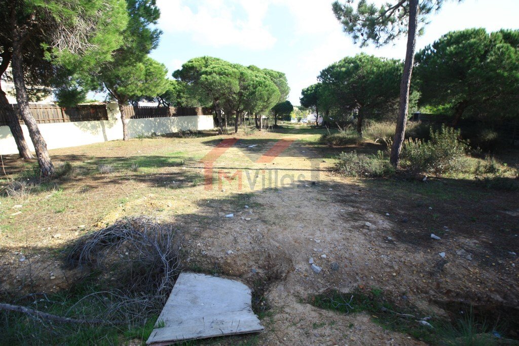 Land in Almancil, Algarve, Portugal 2 - 10554099