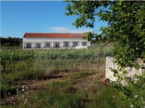 Finca in Vila de Frades, Beja District, Portugal 1 - 12464065