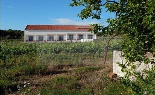 Finca en Vila de Frades, Distrito de Beja, Portugal 1