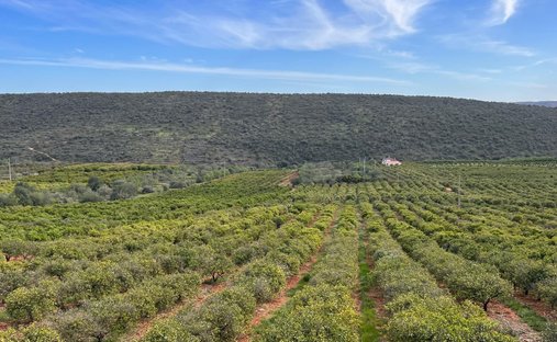 Estate in Silves, Algarve, Portugal 1