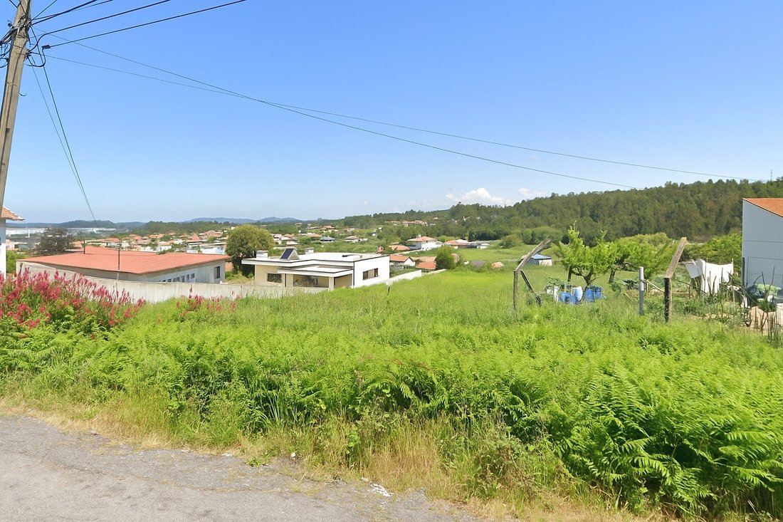 Land in Nogueira da Regedoura, Aveiro District, Portugal 4 - 16279602