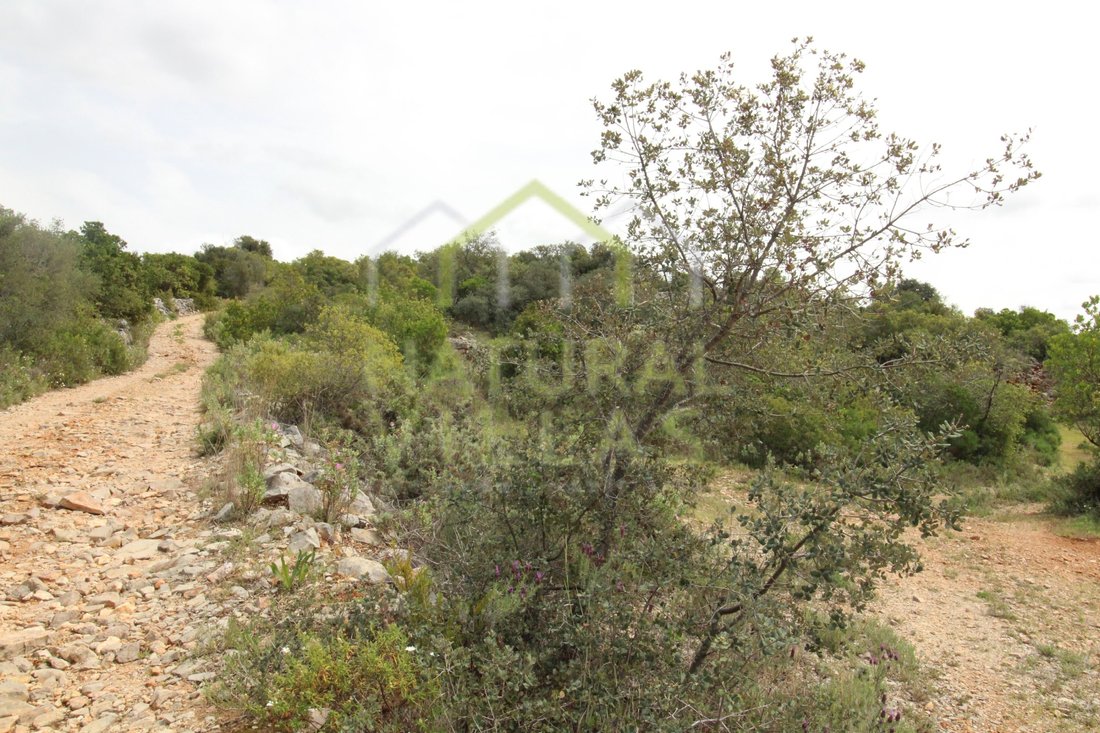 Land in Sao Bras de Alportel, Algarve, Portugal 3 - 16488291