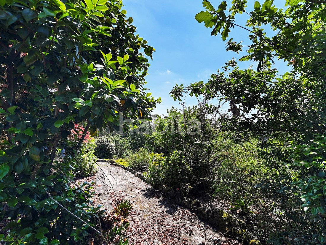 Finca in Alvarelhos, Porto District, Portugal 3 - 15263680