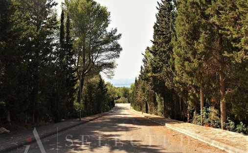 Land in Alcudia, Balearic Islands, Spain 1