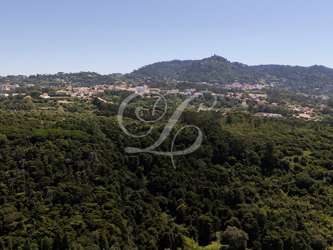 Land in Sintra, Lisbon, Portugal 3 - 16055488
