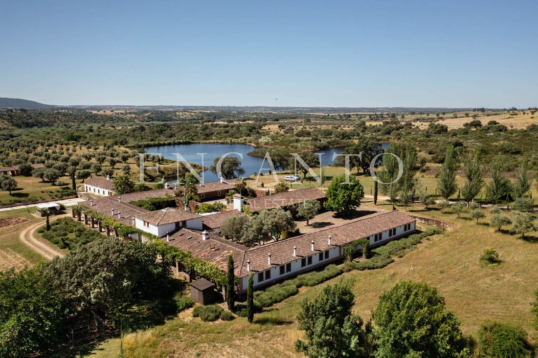 Finca in Escalos de Baixo e Mata, Castelo Branco District, Portugal 2 - 16699356