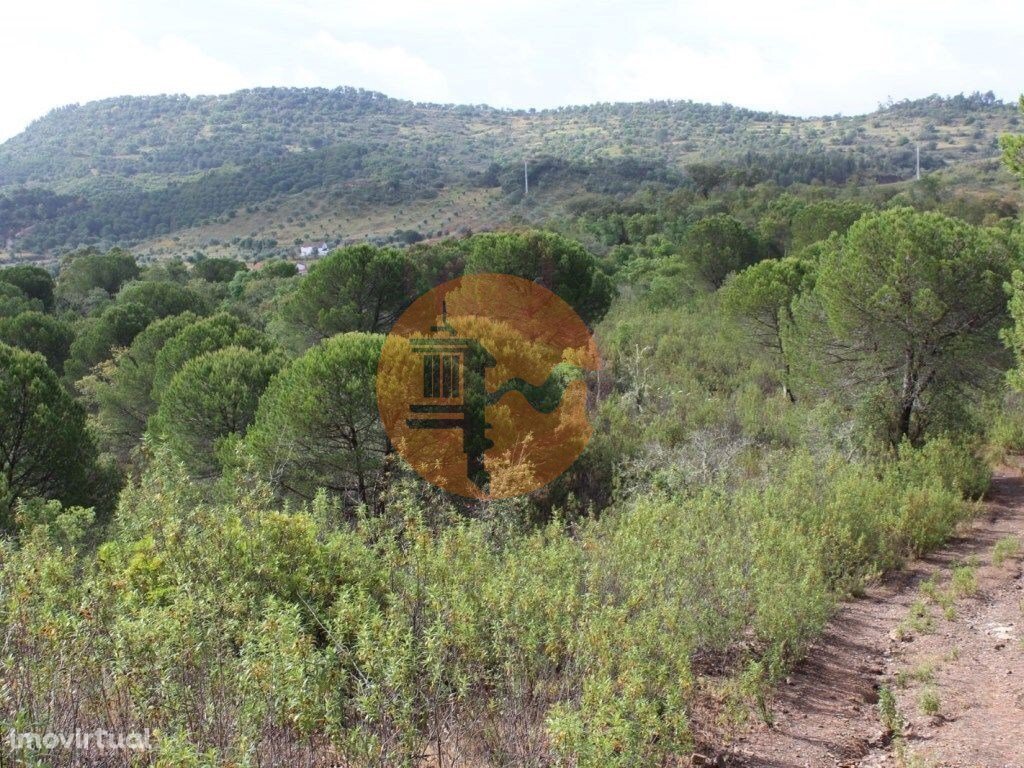 Estate in Sao Bartolomeu de Messines, Algarve, Portugal 3 - 11743859