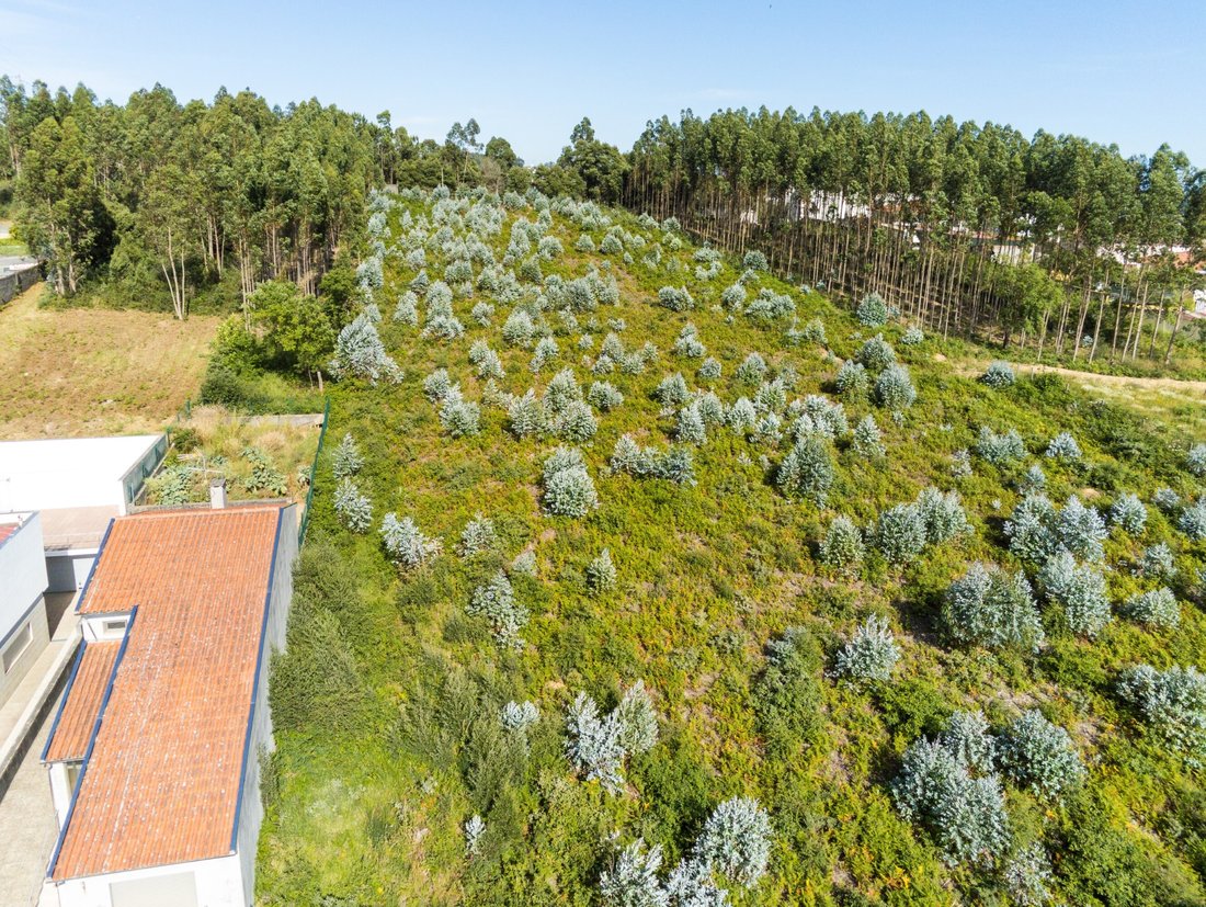 Land in Nogueira da Regedoura, Aveiro District, Portugal 4 - 12274654
