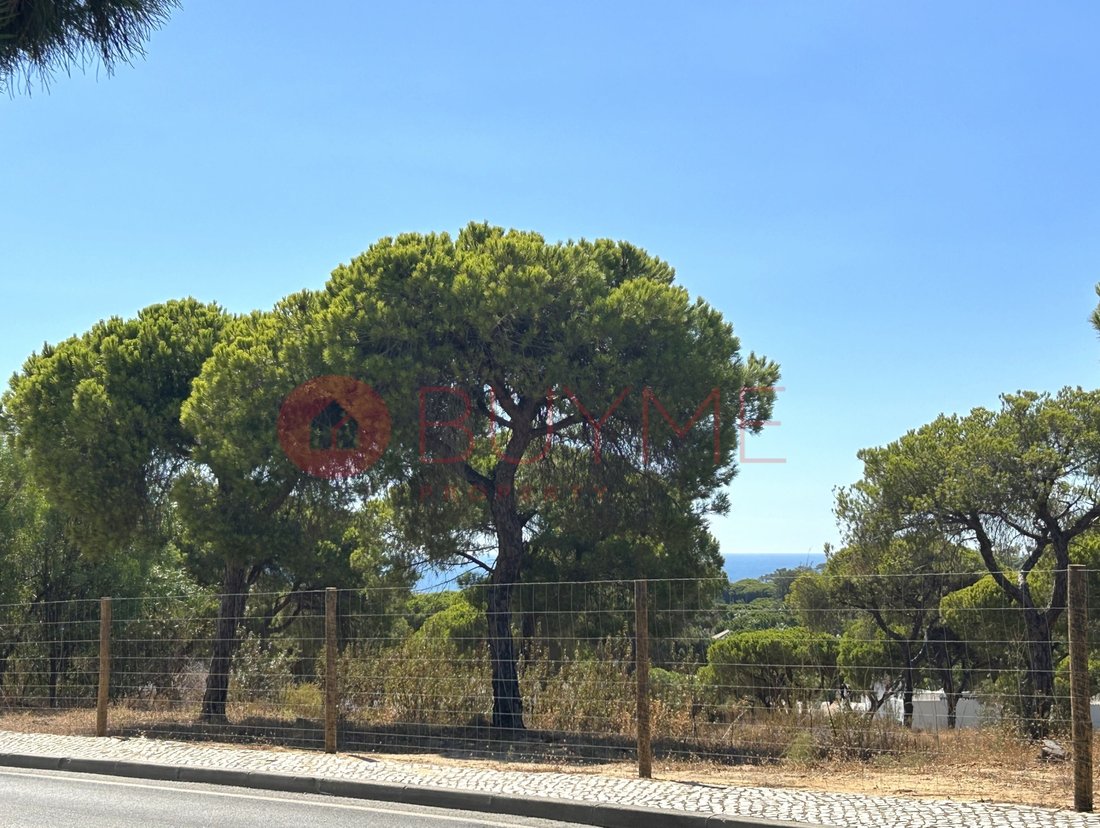 Land in Almancil, Algarve, Portugal 1 - 16487915
