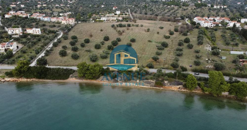 Land in Eretria, Thessaly and Central Greece, Greece 1 - 16711123