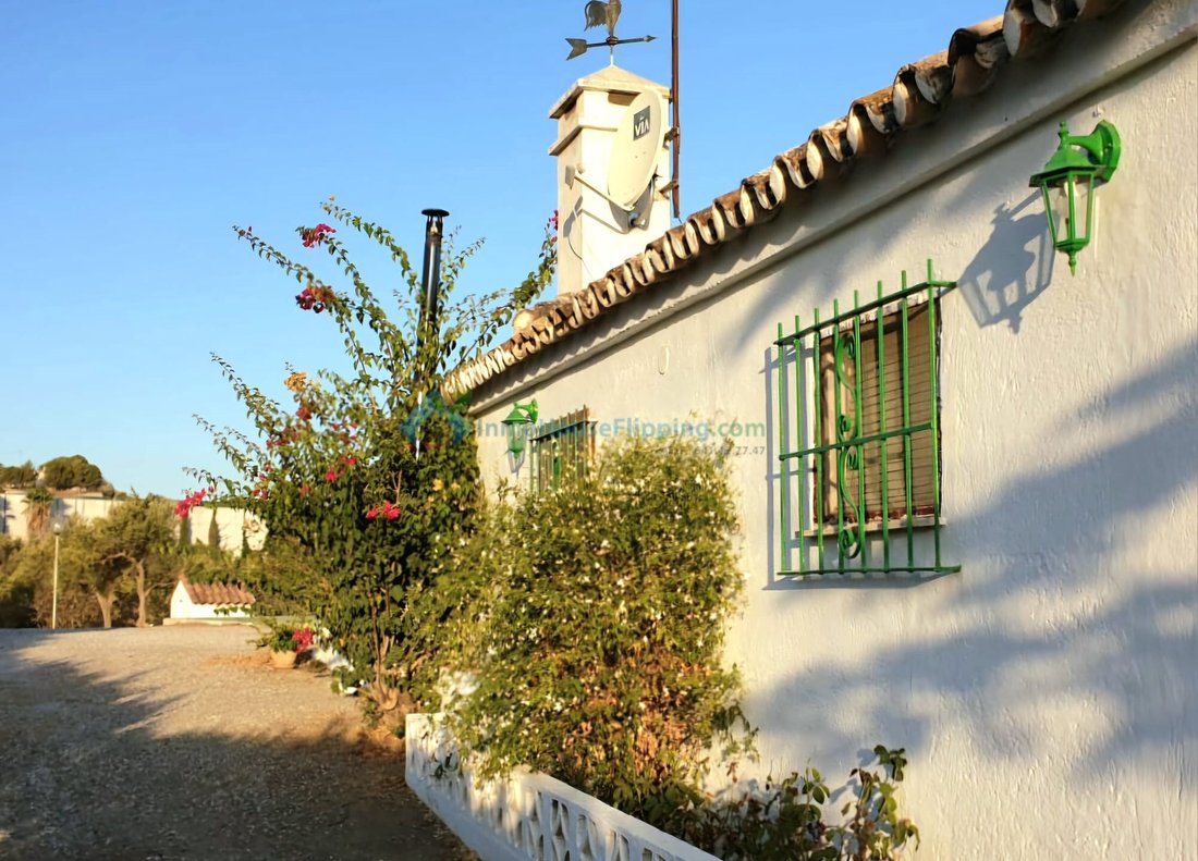 Country House in Coin, Andalusia, Spain 4 - 16543292